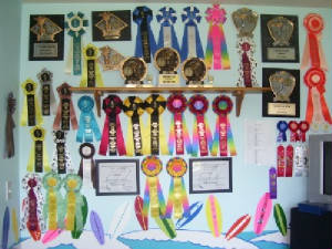 trophies.jpg